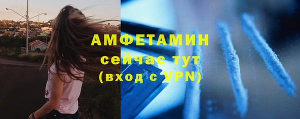 сатива Болотное