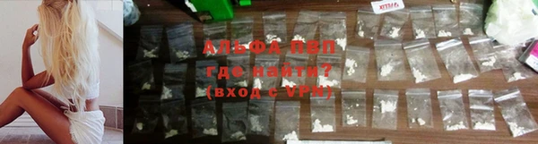 прущие грибы Зеленокумск