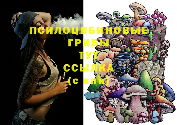 МДМА Заводоуковск