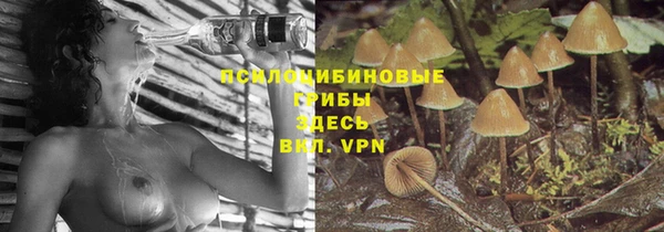 МДПВ Заволжье