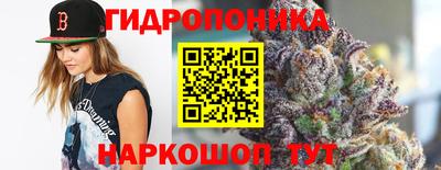 прущие крисы Ставрополь