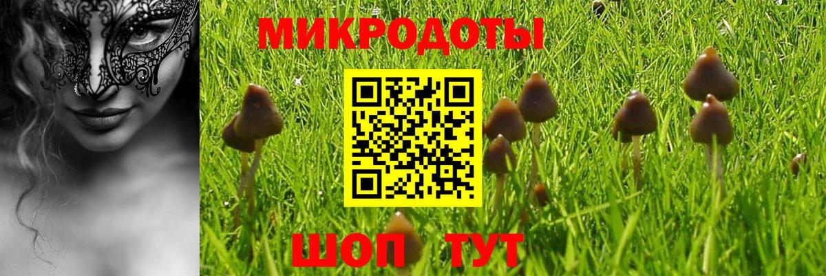 Псилоцибиновые грибы мицелий Канск