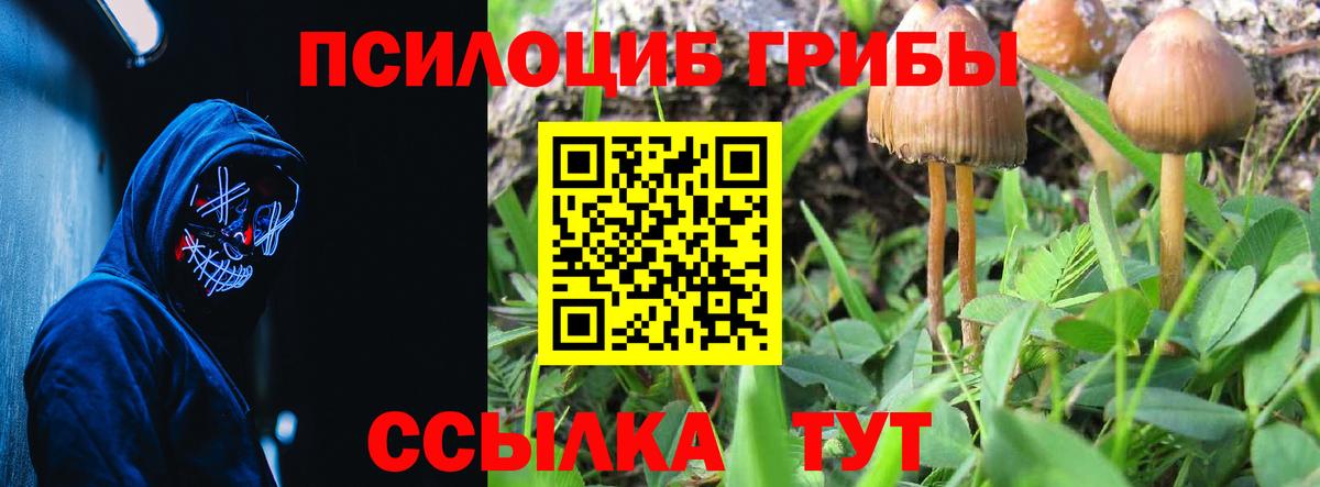 Псилоцибиновые грибы мухоморы  Галлюциногенные грибы Psilocybine cubensis  Вход с VPN  Канск 